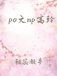 po文np高干
