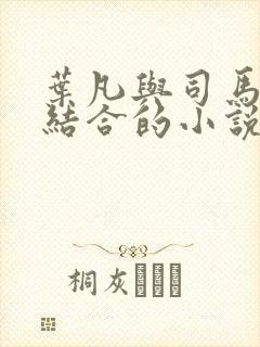 叶凡与司马嫣然结合的小说