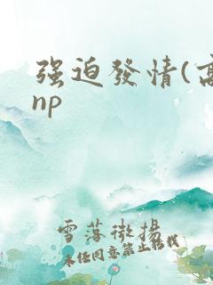 强迫发情(高hnp