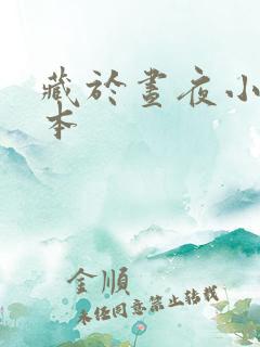 藏于昼夜小说完本