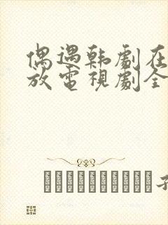 偶遇韩剧在线播放电视剧全集