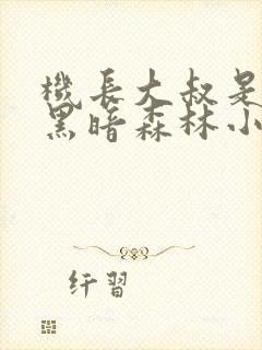 机长大叔是饿狼黑暗森林小说笔