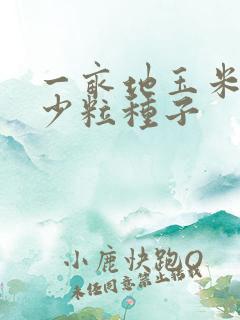 一亩地玉米用多少粒种子