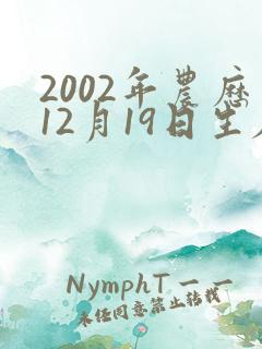 2002年农历12月19日生辰八字