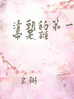 清朝的第一位皇帝是谁