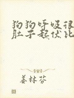 狗狗呼吸很急促肚子起伏比较快是什么病
