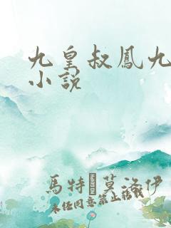 九皇叔凤九儿的小说 九皇叔凤九儿的小说