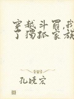 穿越斗罗,我成了独孤家族