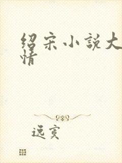 绍宋小说大概剧情