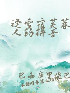 逢雪宿芙蓉山主人的拼音