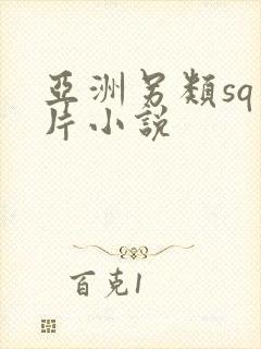 亚洲另类sq图片小说