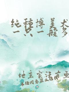 纯种博美犬幼犬一只一般多少钱