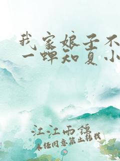 我家娘子不对劲一蝉知夏小说最新