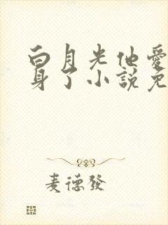 白月光他爱上替身了小说免费阅读