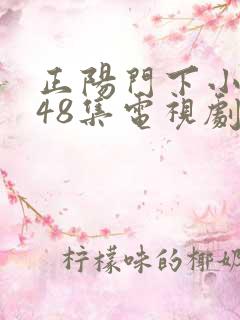 正阳门下小女人48集电视剧