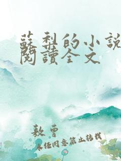 苏梨的小说免费阅读全文