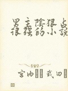 男主阴狠占有欲很强的小说