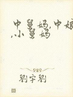 中舅妈,中娘舅,小舅妈