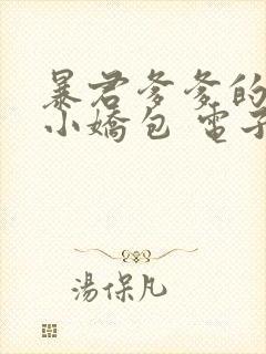 暴君爹爹的团宠小娇包 电子书下载