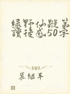 绿野仙踪第三章读后感50字