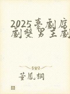 2025台剧腐剧双男主剧