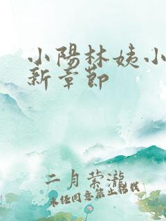 小阳林姨小说最新章节