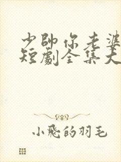 少帅你老婆又跑短剧全集大结局