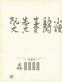 阮先生的小说全文免费阅读