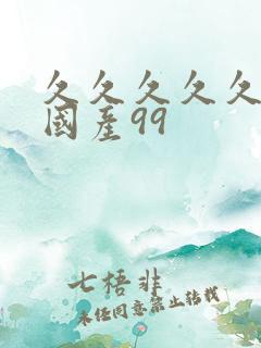 久久久久久精品国产99