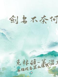 剑名不奈何结局