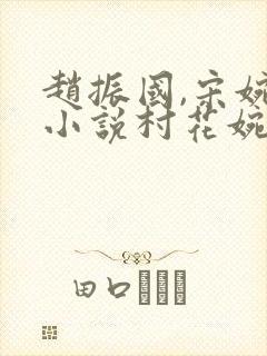 赵振国,宋婉清小说村花婉儿
