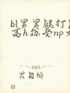 bl男男腿打开高h总受np文