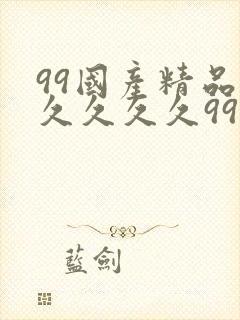 99国产精品久久久久久99
