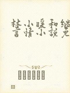 林小暖和继父的言情小说免费阅读