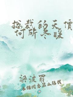 总裁的天价宠妻 何所冬暖 总裁的天价宠妻 何所冬暖