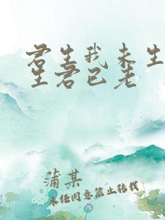 君生我未生,我生君已老