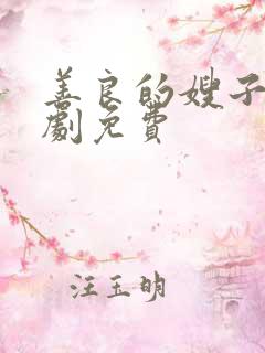 善良的嫂子5韩剧免费