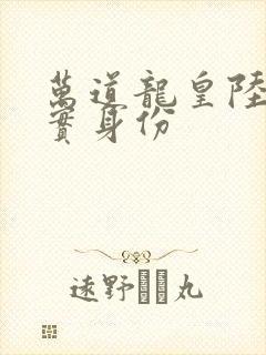 万道龙皇陆鸣真实身份