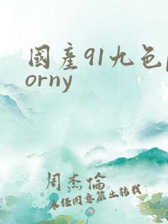 国产91九色porny