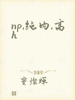 np,纯肉,高h