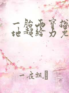 一胎两宝总裁爹地超给力免费阅读