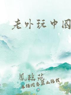 老外玩中国女人