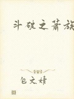 斗破之萧族冰圣