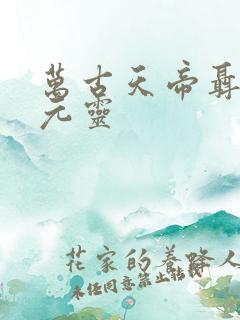 万古天帝聂天的元灵