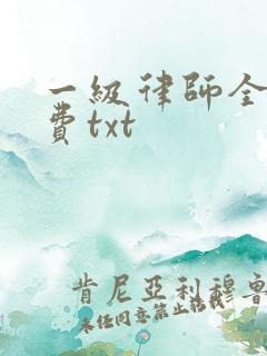 一级律师全文免费txt