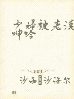少妇被老汉耸动呻吟