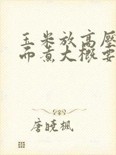 玉米放高压锅里面煮大概要煮多久
