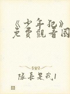 《少年犯》电影免费观看国语