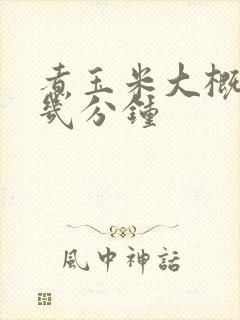 煮玉米大概要煮几分钟
