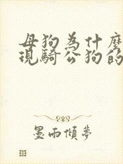 母狗为什么会出现骑公狗的行为